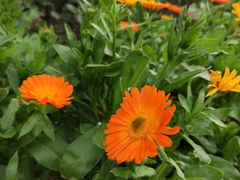 -神光山国家森林公园