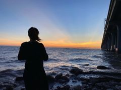 -宝安西湾红树林湿地公园