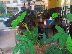 -河内小馆越南菜