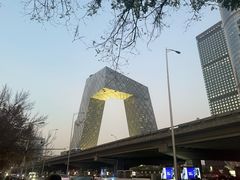 -中央广播电视总台(光华路办公区)