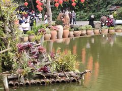 -深圳仙湖植物园