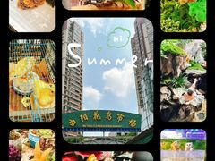 -曲阳花鸟市场(曲阳路店)