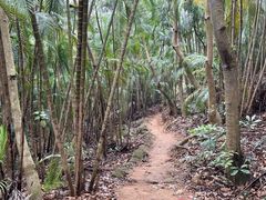-阳台山森林公园