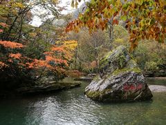 -黎坪国家森林公园