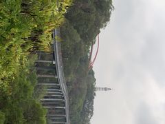 -金鸡山公园
