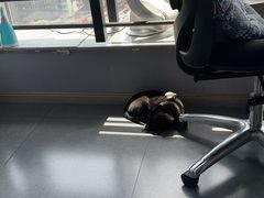 -帝京日语(春熙路旗舰校区)