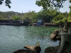-白马涧龙池景区