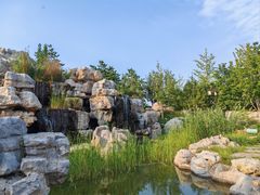 -西海子公园
