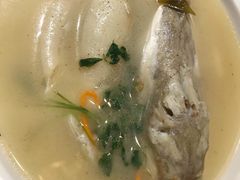 养颜白汁河豚-肆月河豚·新淮扬(金融街店)