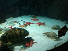 -福州罗源湾海洋世界旅游区