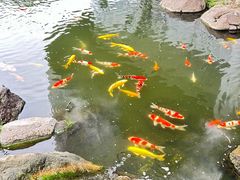 -罗红摄影艺术馆