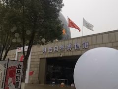 -陕西自然博物馆