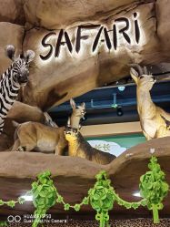 点击看大图 -卡通尼·Safari非洲探索乐园·生日会(金桥国际商业广场店)
