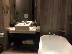-常州环球恐龙城维景国际大酒店