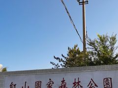-红山国家森林公园