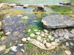 -滆湖低碳生态公园