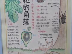 -上海昆虫博物馆