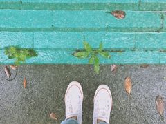 -七星路步行街
