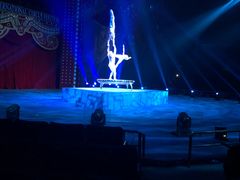 -珠海横琴长隆《卡卡虎奇遇记》