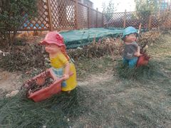 -巴依老爷新疆美食(望京小街店)