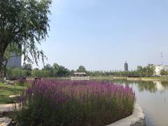-西海子公园