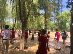 -长春公园(普阳街道)