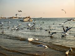 -老虎石海上公园