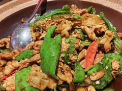-鸽子窝(黄村店)