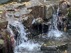 -兴福老面馆(寺路街店)