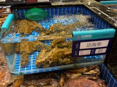 -东海怡品海鲜豆捞(舟宿夜江店)