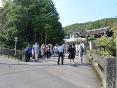 -西芳寺(苔寺)