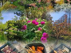 -上海共青森林公园