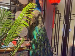 -柴火大院烤鸭民间菜