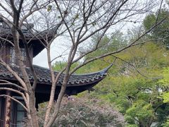 -西湖外事游船(花港观鱼码头)