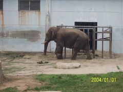 -西安秦岭野生动物园