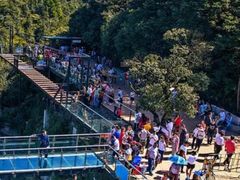 -梦幻奥陶纪景区