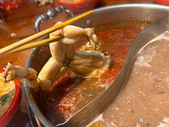 -芦记老川锅川锅纯自助(农大店)