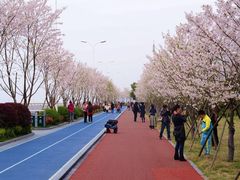 -钱塘江大桥