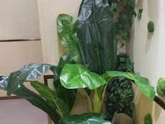 -凯平棋牌会所(永惠大厦店)