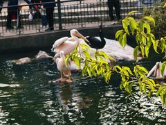 -昆明动物园