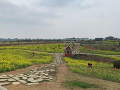 -空港花田景区