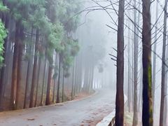 -山王坪喀斯特国家生态公园