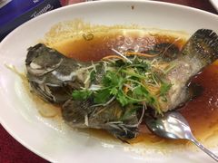 -轩记海鲜餐厅·四十五年老字号·经典粤菜(西区彩虹店)