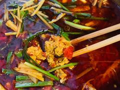 鲜鱼蛋-钟云山鲜鱼蛋