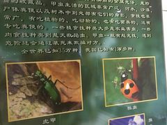 -上海昆虫博物馆