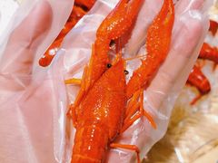 小龙虾-江味龙虾馆·裸蓝龙虾(南山店)