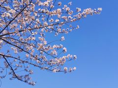 -蠡湖大桥公园