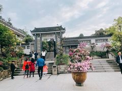 -老幺泉水鸡