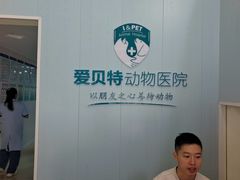 -爱贝特动物医院·猫口炎专科