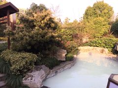 -杭州第一世界大酒店·云曼温泉